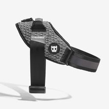 Ielādēt attēlu galerijas skatītājā, WICKED