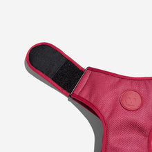 Load image into Gallery viewer, BORDEAU