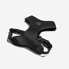 Ielādēt attēlu galerijas skatītājā, GOTHAM