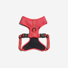 Ielādēt attēlu galerijas skatītājā, NEON CORAL