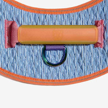 Ielādēt attēlu galerijas skatītājā, GALAXY