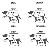 Load image into Gallery viewer, OATMEAL