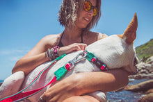 Load image into Gallery viewer, LOLA