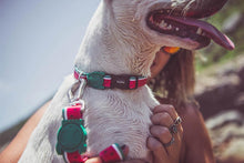 Load image into Gallery viewer, LOLA