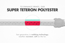 Load image into Gallery viewer, LOLA